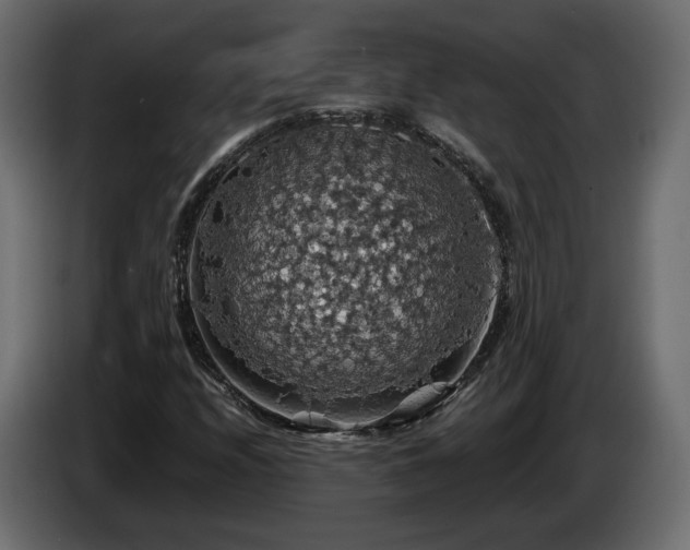 X0000084531208200703021412