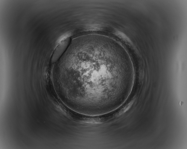 X0000084531210200703021412
