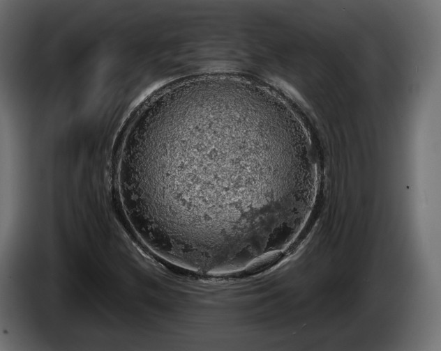 X0000084531212200703021412