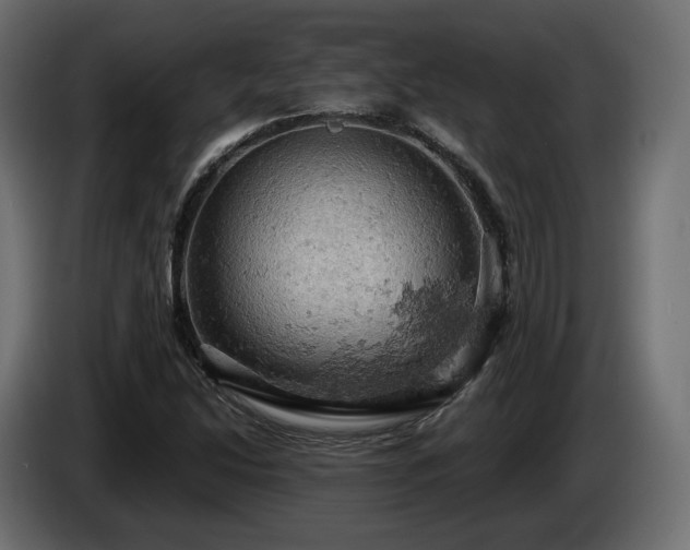 X0000084531214200703021412