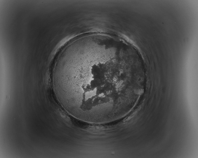 X0000084531215200703021412