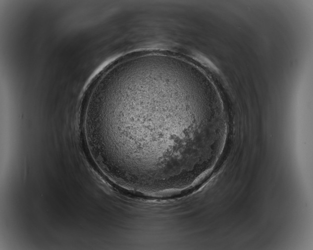 X0000084531216200703021412