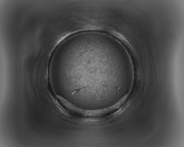 X0000084531220200703021413