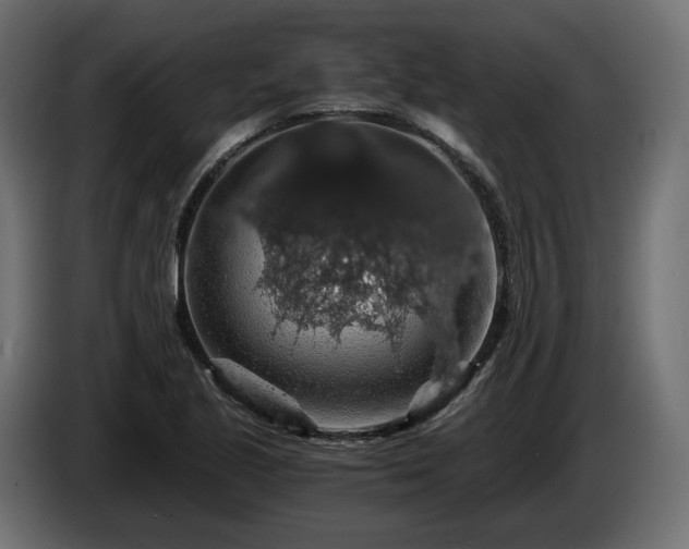 X0000084531221200703021413