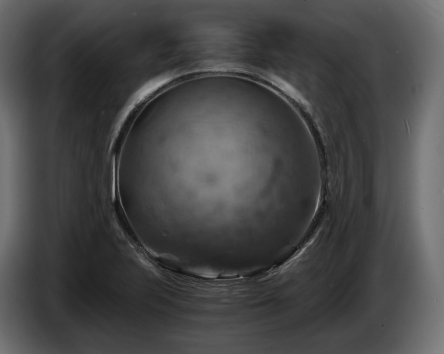 X0000084531223200703021413