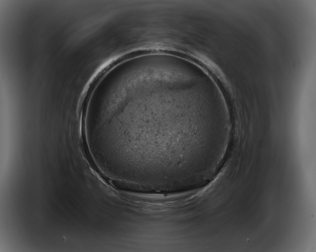 X0000084531224200703021413