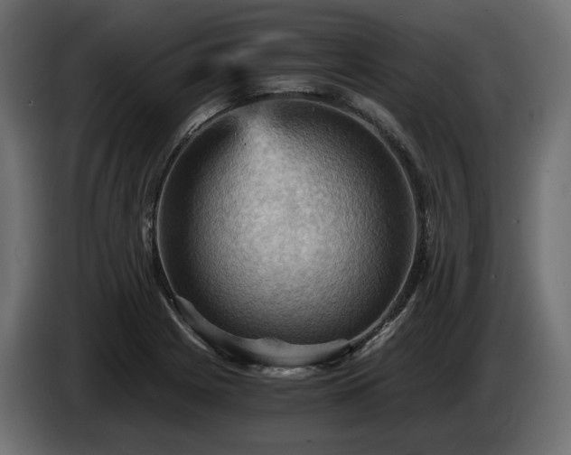 X0000084531225200703021413