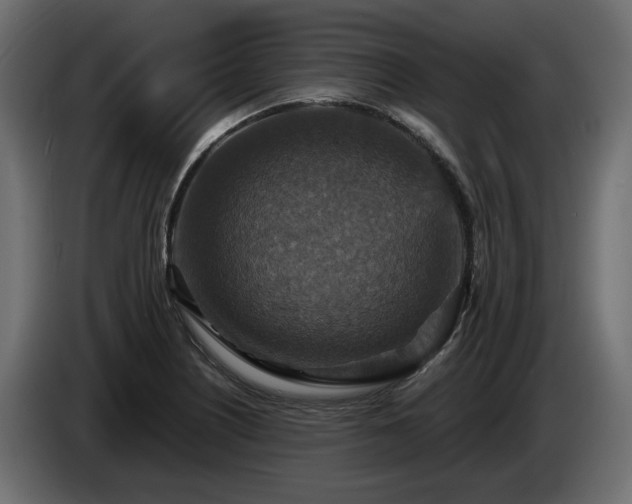X0000084531226200703021413