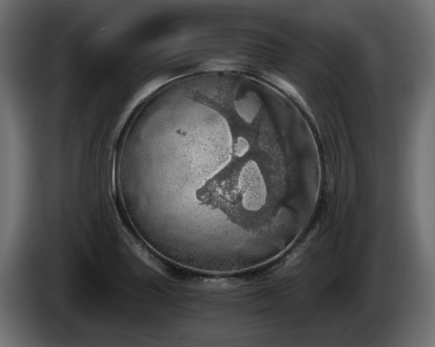 X0000084531227200703021413