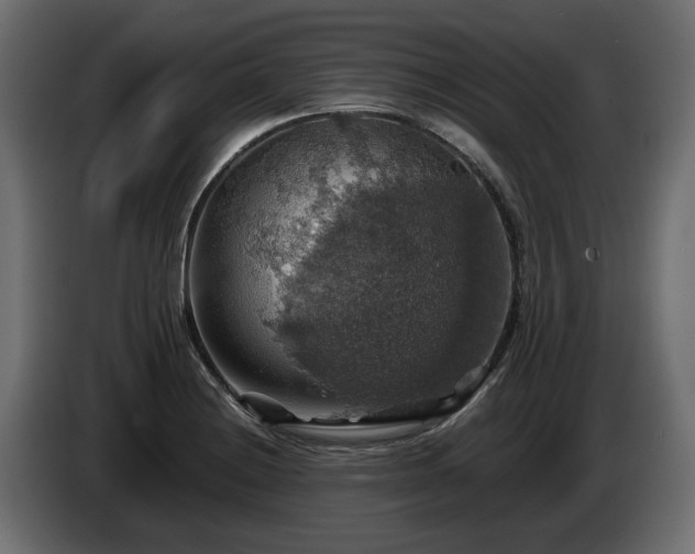 X0000084531228200703021413