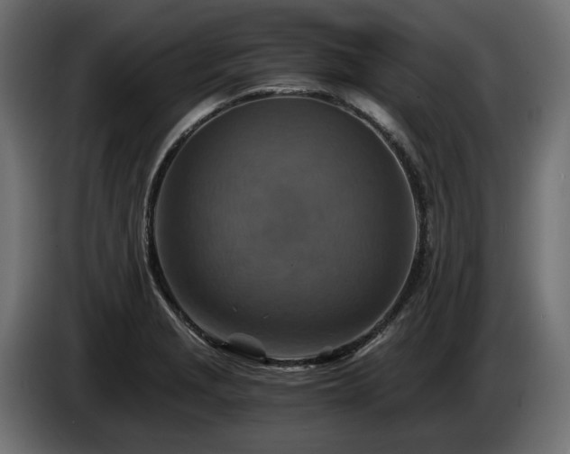 X0000084531229200703021413