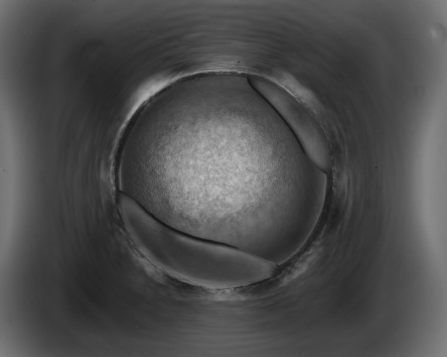 X0000084531230200703021413