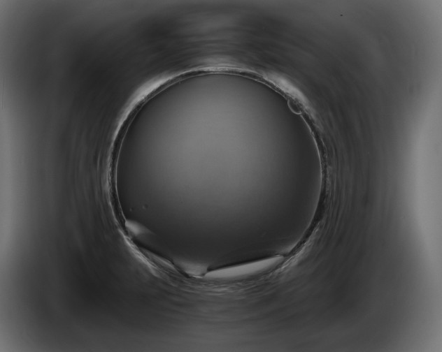 X0000084531231200703021413
