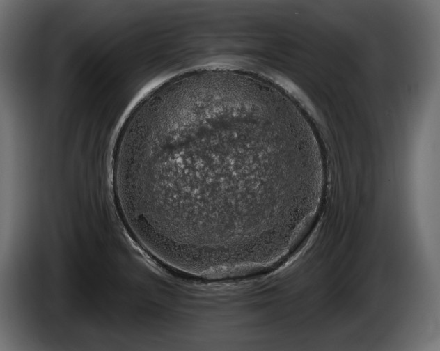 X0000084531232200703021413