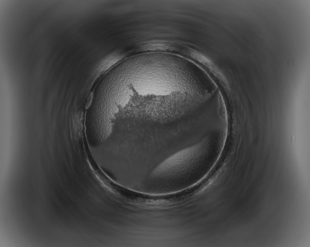 X0000084531233200703021413