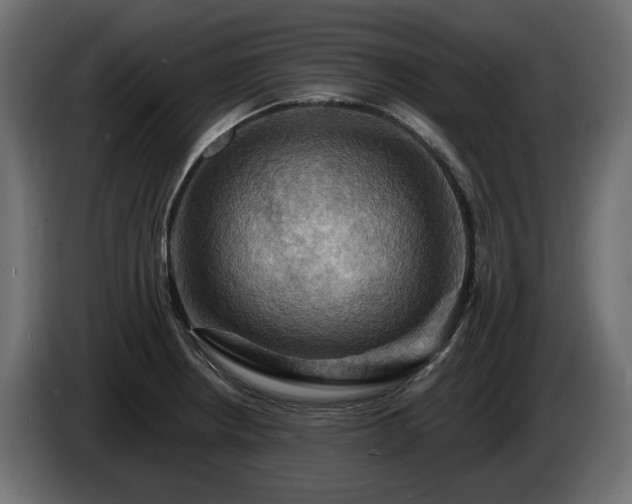 X0000084531234200703021413