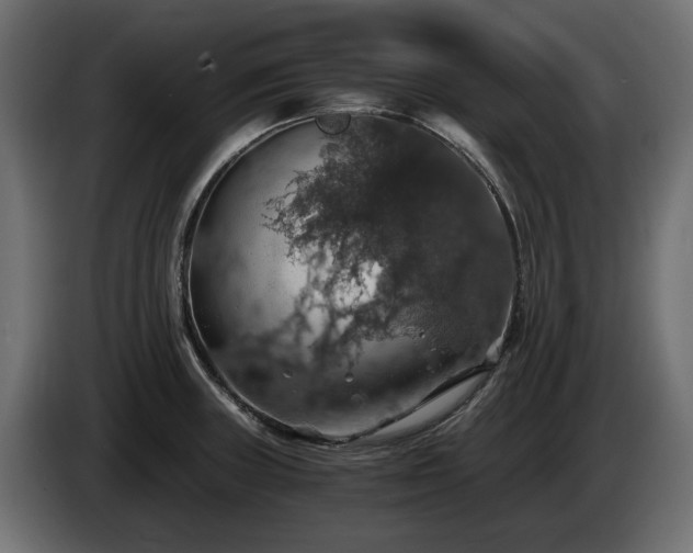 X0000084531235200703021413