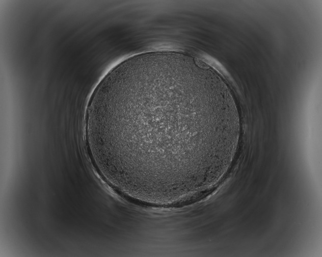 X0000084531236200703021413