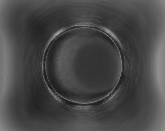 X0000084531237200703021413