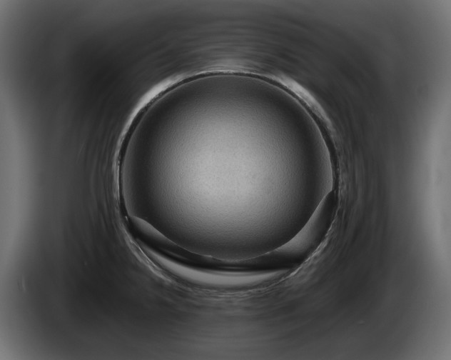 X0000084531238200703021413