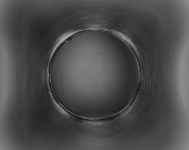 X0000084531239200703021413