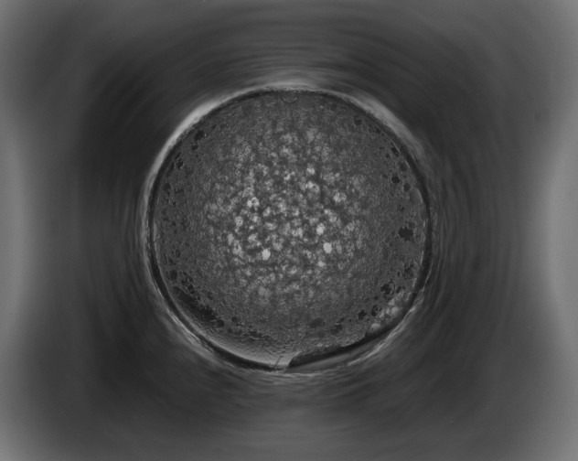 X0000084531240200703021413