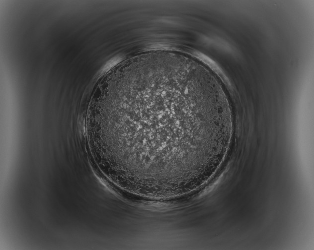 X0000084531241200703021413