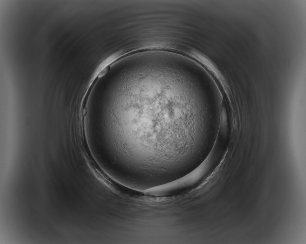 X0000084531242200703021413