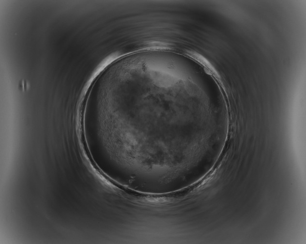 X0000084531243200703021413
