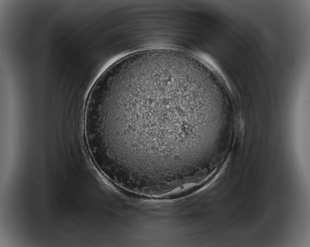 X0000084531244200703021413