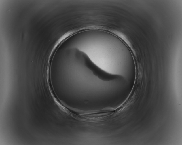 X0000084531245200703021413
