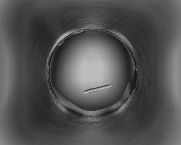 X0000084531246200703021413