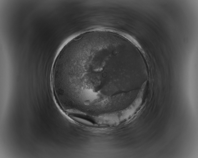 X0000084531247200703021413