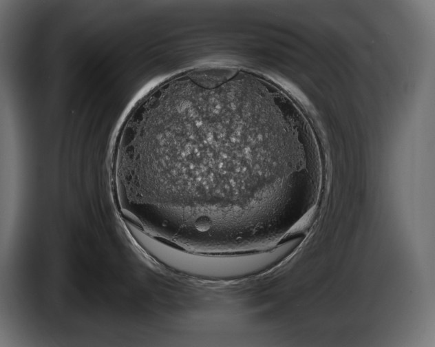 X0000084531248200703021413