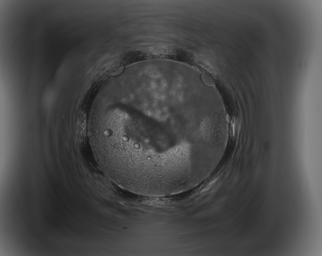 X0000084531251200703021412