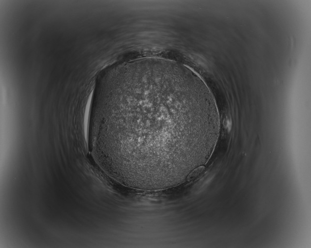 X0000084531252200703021412