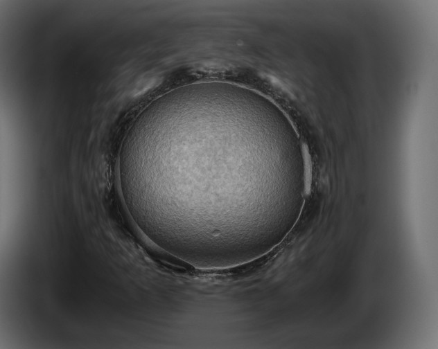 X0000084531253200703021412