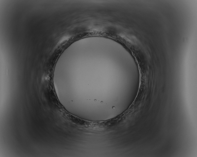 X0000084531254200703021412