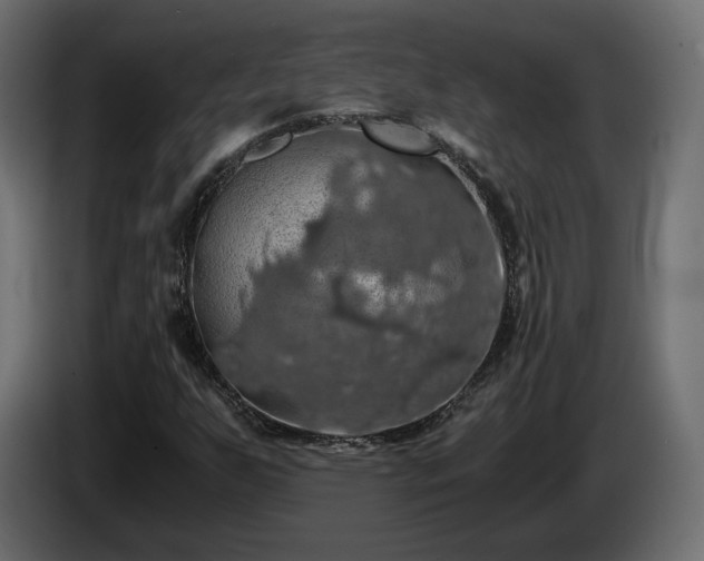 X0000084531255200703021412