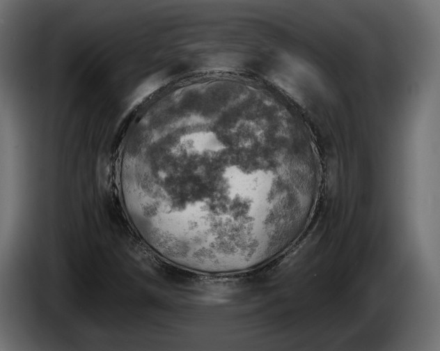 X0000084531258200703021412
