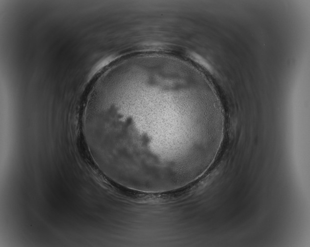 X0000084531259200703021412