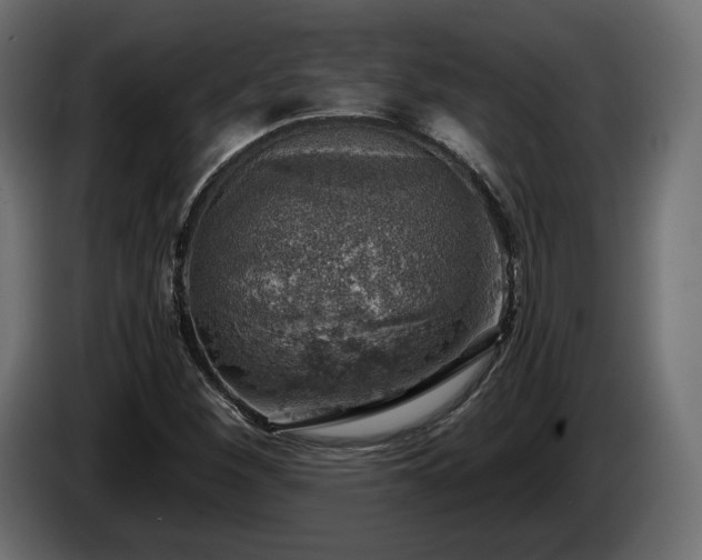 X0000084531260200703021412