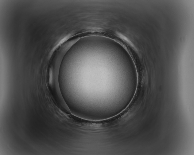 X0000084531261200703021412