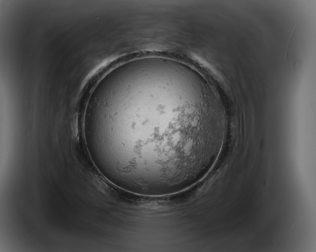 X0000084531262200703021412