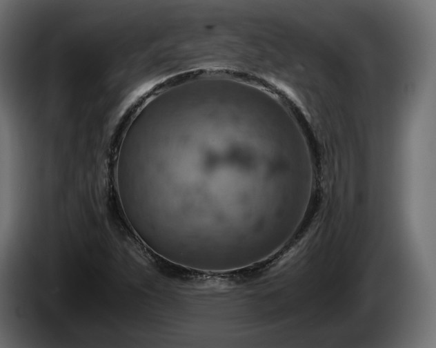 X0000084531263200703021412
