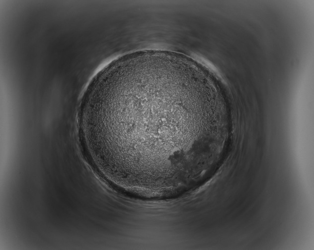 X0000084531264200703021412