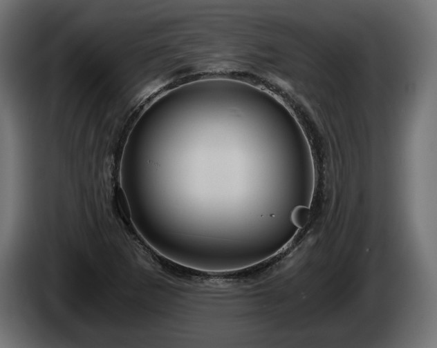 X0000084531265200703021412