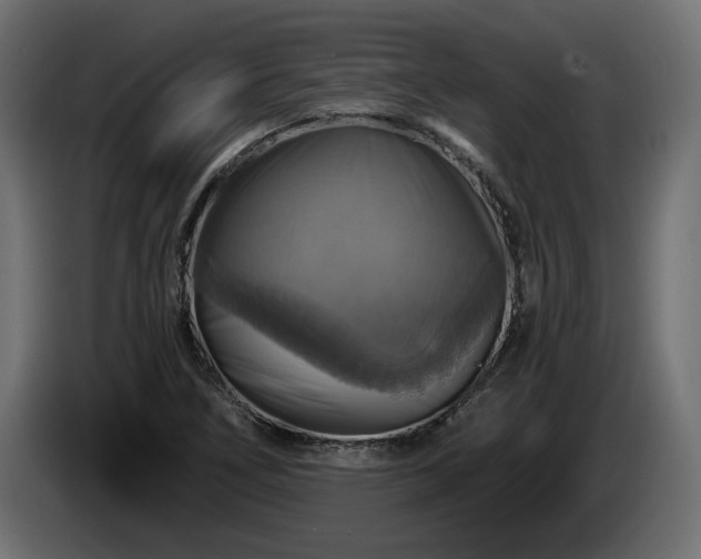 X0000084531266200703021412