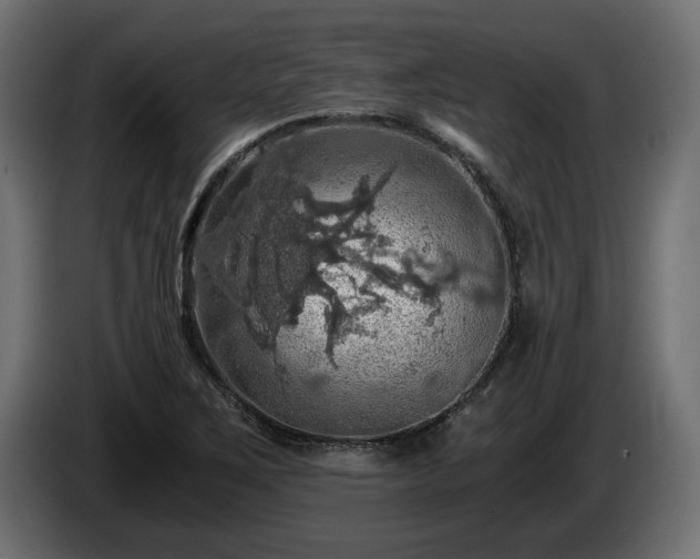 X0000084531267200703021412