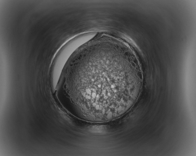 X0000084531268200703021412